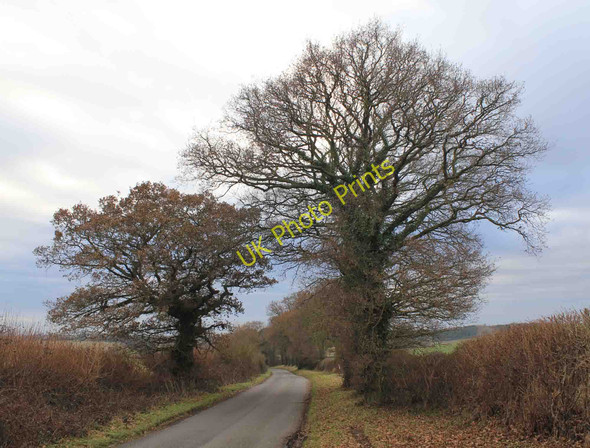 Photo 6"x4" Snitterfield Lane, Norton Lindsey Norton Lindsey c2011