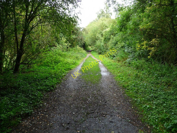 Photo 6"x4" Stockbridge - The Test Way Footpath Stockbridge\/SU3535 c2010