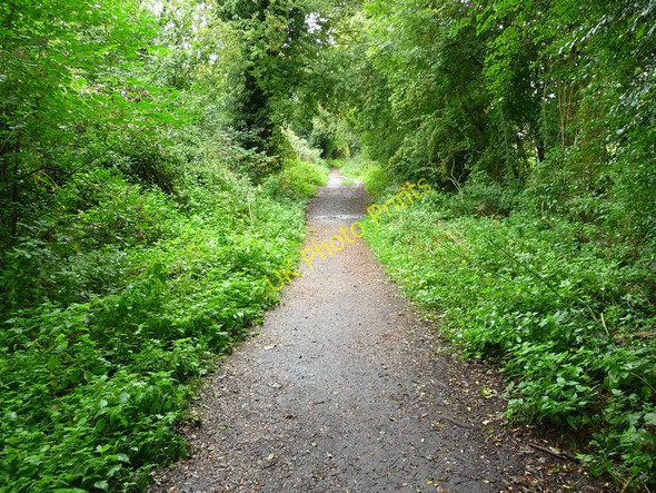 Photo 6"x4" Stockbridge - The Test Way Footpath Stockbridge\/SU3535 c2010
