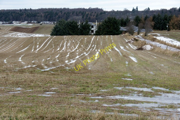 Photo 6"x4" Leys of Lindertis, Airlie Craigton\/NO3250 c2011