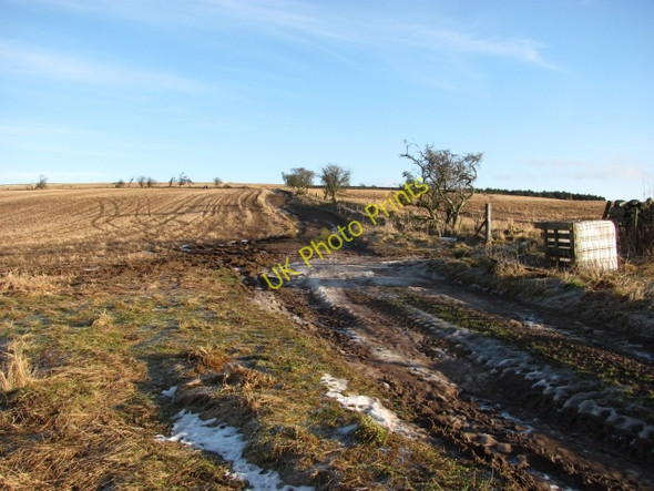 Photo 6"x4" Track up Bell Hill Grantshouse c2011