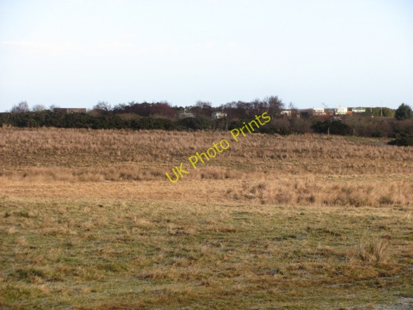 Photo 6"x4" Drone Hill Houndwood c2011