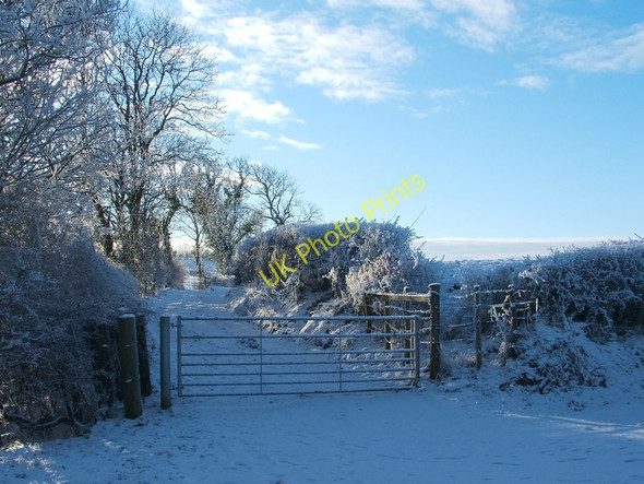 Photo 6"x4" Path to Hawthornhill Ardoch\/NS3676 c2010