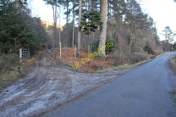 Photo 6"x4" Track into the woodland near Bunarkaig Bunarkaig c2011