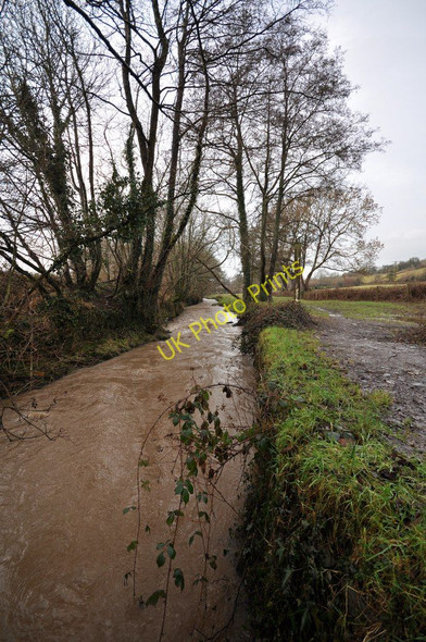 Photo 6"x4" The view downstream on Bradiford Water from a bridge near Shearford Lane Barnstaple c2011