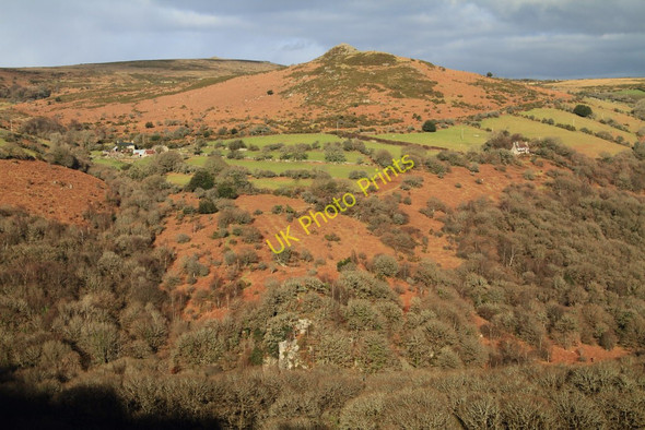 Photo 6"x4" Luckey Tor and Sharp Tor Dartmeet c2011