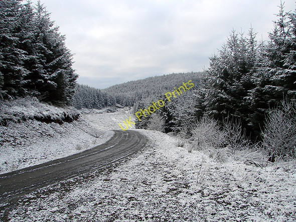 Photo 6"x4" Forest track at Esgair Ychion Llanifyny c2011
