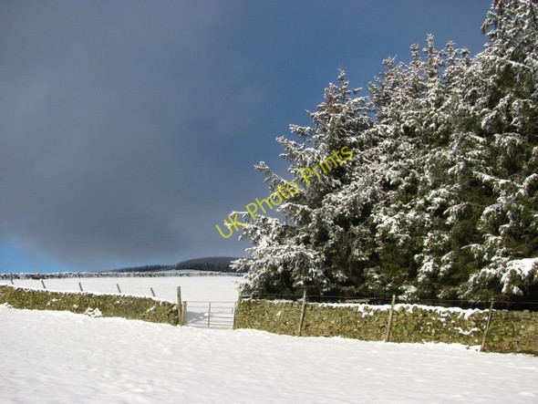 Photo 6"x4" End of the Strip Cardrona c2011