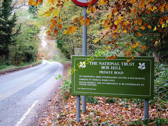 Photo 6"x4" Entering Box Hill National Trust from Boxhill Road Dorking c2007