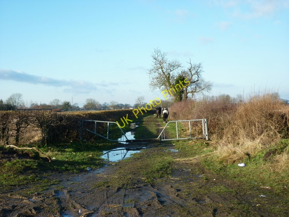 Photo 6"x4" A bridleway off Rudcarr Lane near Warthill Moor End\/SE6656 c2011