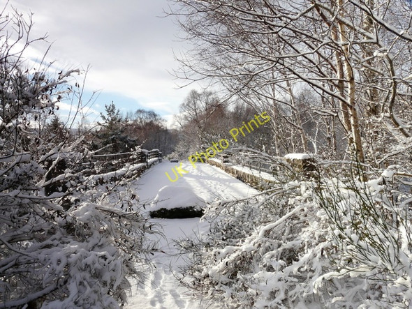 Photo 6"x4" The old bridge at Silverbridge Strath Garve \/ Srath Gairbh c2011