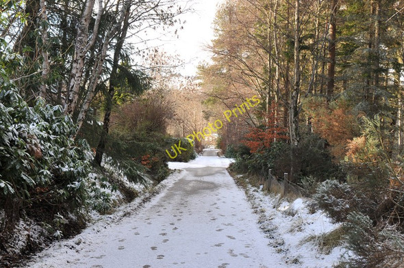 Photo 6"x4" Minor road near Reelig Glen Newtonhill\/NH5743 c2011