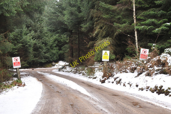 Photo 6"x4" Forestry road into Cawdor Wood Cawdor c2011