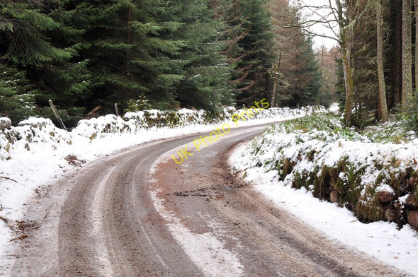 Photo 6"x4" Route of a military road through Cawdor Wood Cawdor c2011