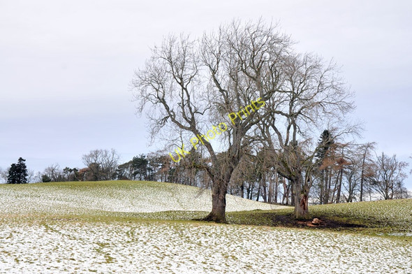 Photo 6"x4" Farmland at Mains of Clunas Highland Boath c2011