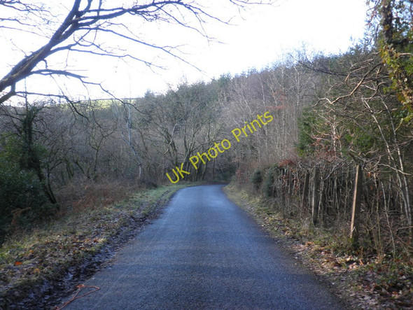 Photo 6"x4" Slowley Wood Kingsbridge\/SS9837 c2011