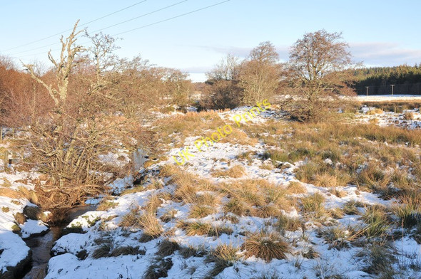 Photo 6"x4" Stream near Mains of Flichity East Croachy c2011