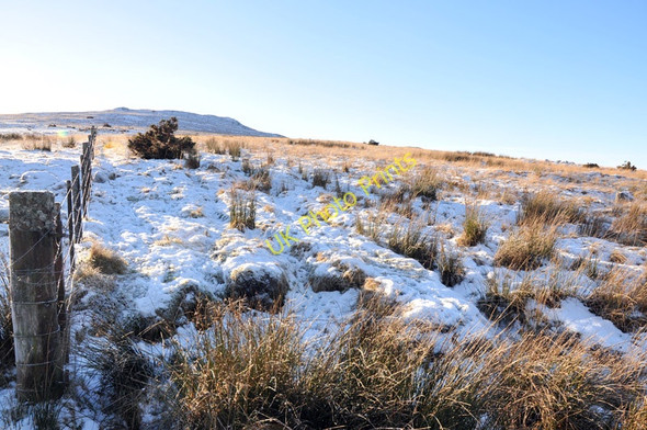 Photo 6"x4" Rough grazing near Glen Beg East Croachy c2011