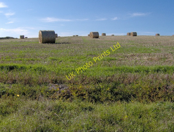 Photo 6"x4" Straw bales near Marridge Cross Coarsewell c2006