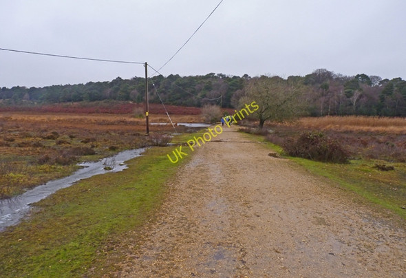Photo 6"x4" Path across Hincheslea Bog South Weirs c2011