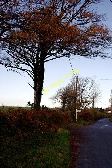 Photo 6"x4" On the Road to Westweekmoor Westweekmoor c2010