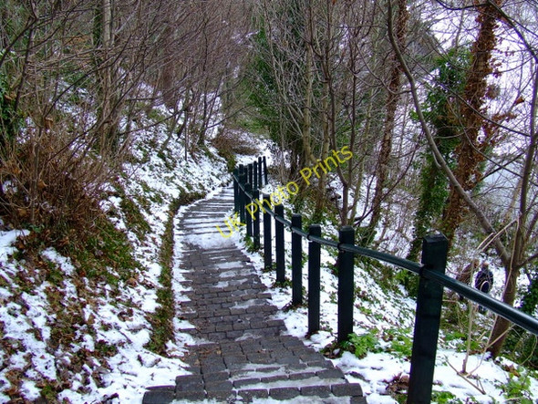 Photo 6"x4" Footpath to the Water of Leith walkway Craigleith\/NT2374 c2011