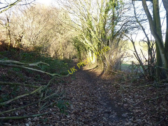 Photo 6"x4" Bridleway near Deancorner Barrow\/SJ6500 c2011