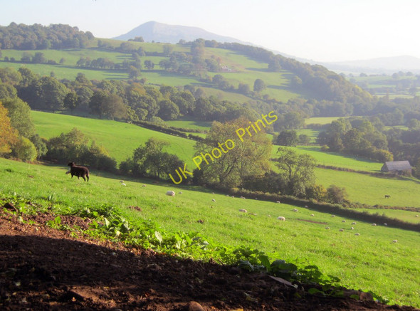 Photo 6"x4" Farmland above the Honddu valley Cwmyoy c2010
