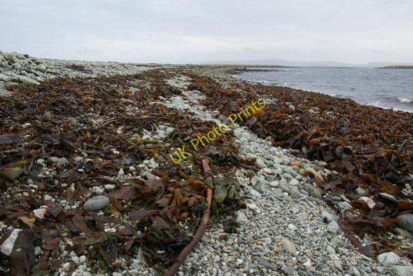 Photo 6"x4" Ayre of Heogland Belmont\/HP5600 c2011