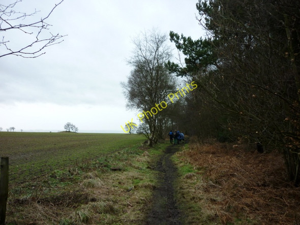 Photo 6"x4" A footpath above Raincliffe Woods near Scarborough Suffield\/SE9890 c2011