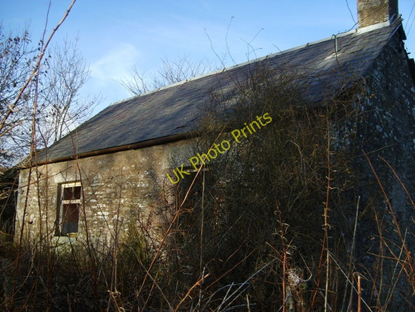 Photo 6"x4" Derelict cottage Charleston\/NO3845 c2011