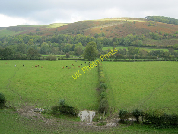 Photo 6"x4" Meadows north of Knighton Garth\/SO2772 c2010