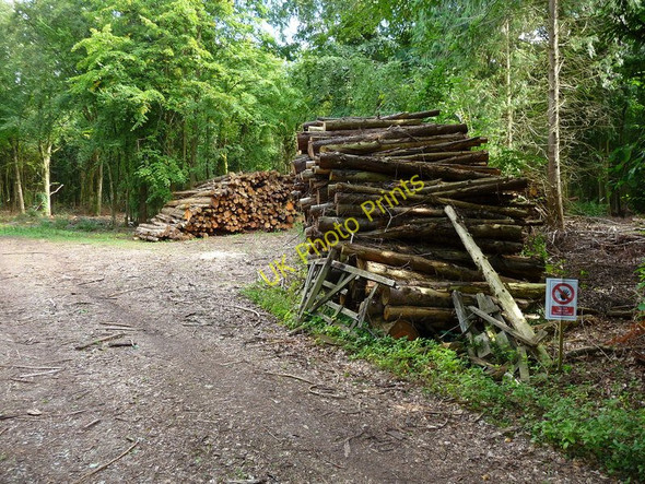 Photo 6"x4" Amport - Timber Stacks Amport c2010