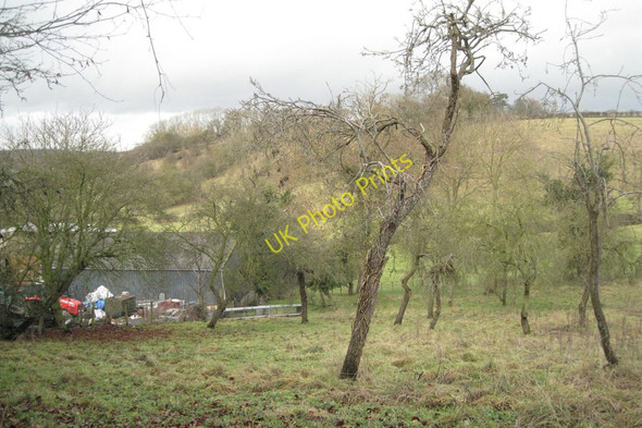 Photo 6"x4" Orchard, Orchard Farm, Ardens Grafton Ardens Grafton c2011