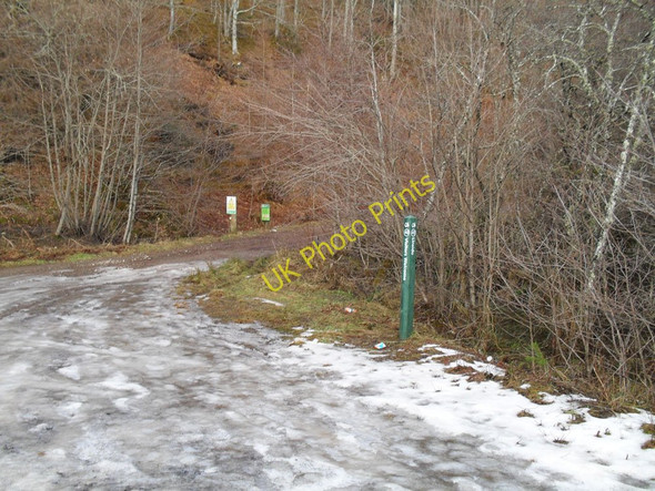 Photo 6"x4" Entrance to Linsidemore Woods Linsidemore c2011