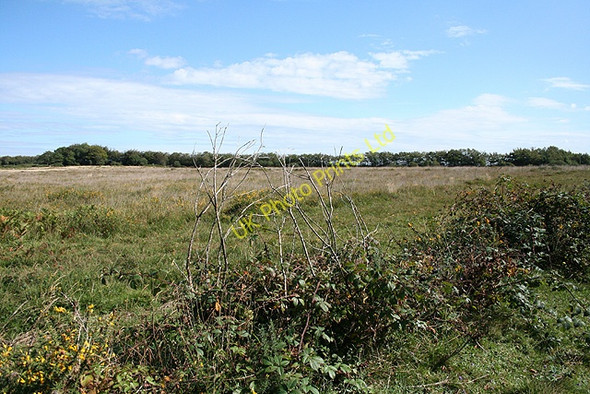 Photo 6"x4" Knowstone: Knowstone Moor Roachill c2006
