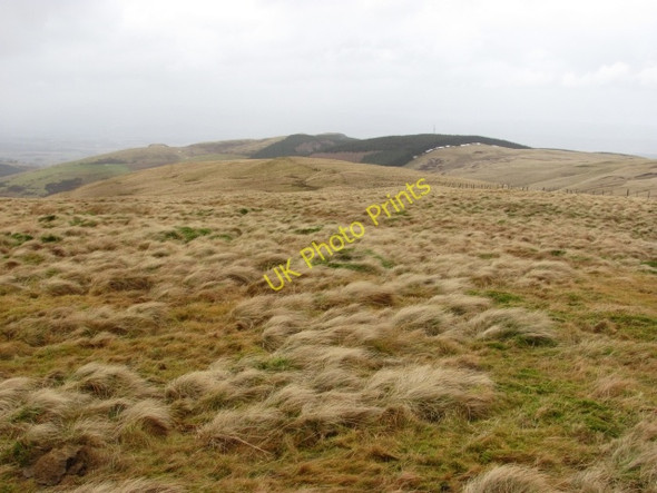 Photo 6"x4" Black Hill Corb Law c2011