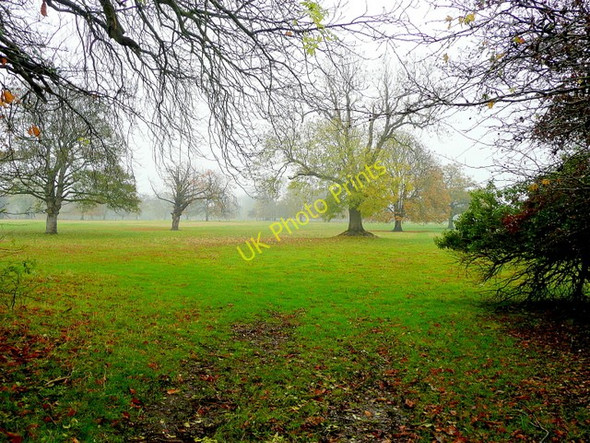 Photo 6"x4" Glimpse into parkland Northorpe\/SK8997 c2009