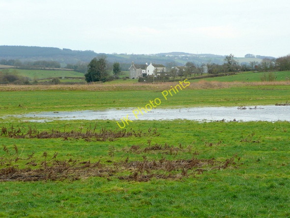 Photo 6"x4" View to Ripple House Awre c2009