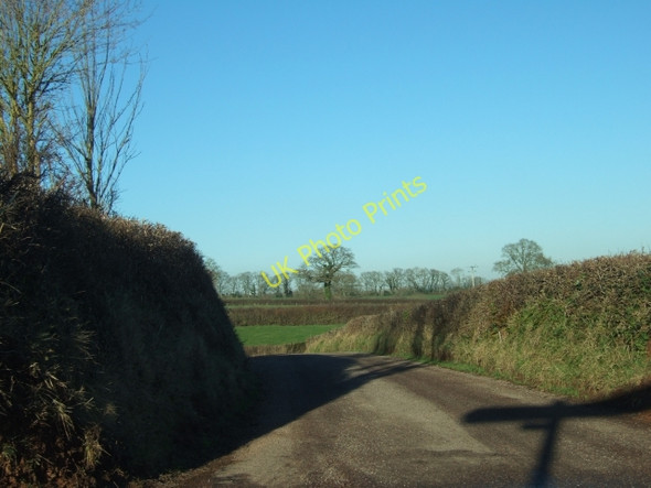 Photo 6"x4" Road to Clyst Hydon Clyst St Lawrence c2011
