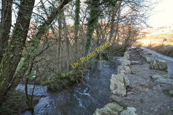 Photo 6"x4" The view upstream from a bridge over Colam Stream on Whiddon Lane Crockers c2011