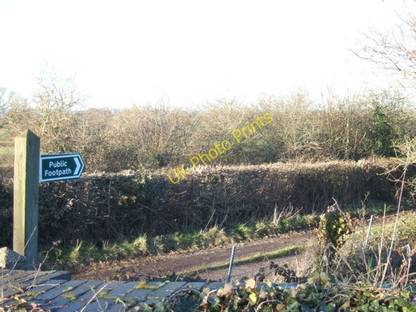 Photo 6"x4" Footpath and farm track near Talaton Larkbeare c2011