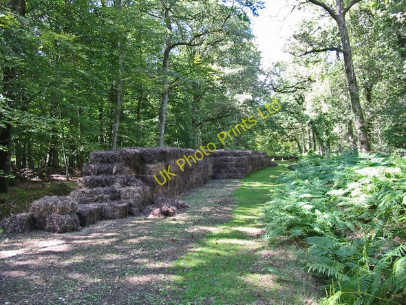 Photo 6"x4" Bales of heather in Islands Thorns Inclosure New Forest Hampshire Fritham c2006