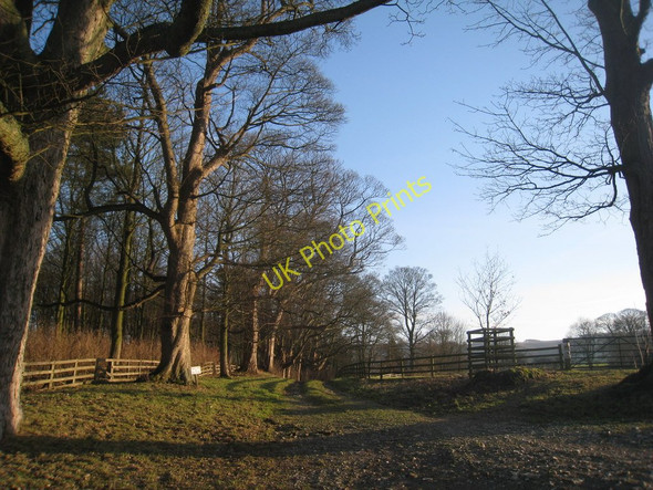 Photo 6"x4" Farm track at Birdsall Birdsall c2011