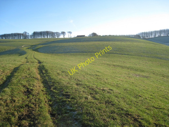 Photo 6"x4" View up to Toisland Farm Birdsall c2011