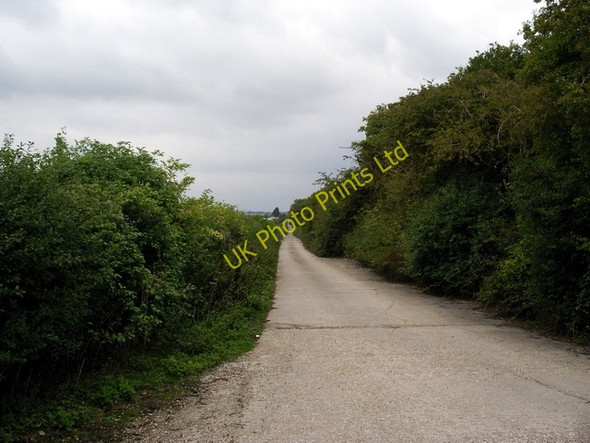 Photo 6"x4" Drove Road, Chilbolton Chilbolton c2006