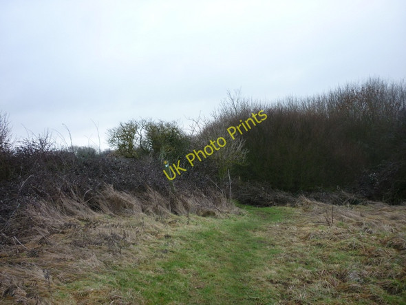 Photo 6"x4" A footpath to Brigsley Brigsley c2011