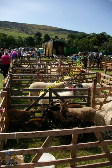 Photo 6"x4" Rosedale Show Rosedale Abbey c2005 P3