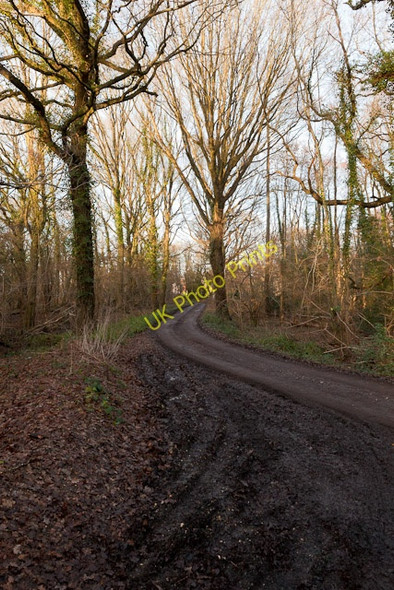 Photo 6"x4" Footpath approaching A3051 at Curbridge Curbridge\/SU5211 c2011