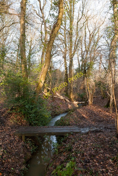 Photo 6"x4" Footbridge at Curbridge Curbridge\/SU5211 c2011